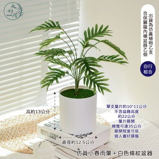 大好屋 仿真居家系觀葉植物盆組 龜背葉 春雨葉 仿真綠植 綠化盆栽 室內擺件, 白色, 1個