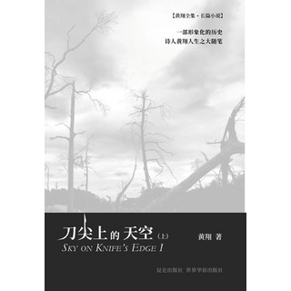 (英文圖書) 刀尖上的天空（上） 精裝版, Blurb, 英文
