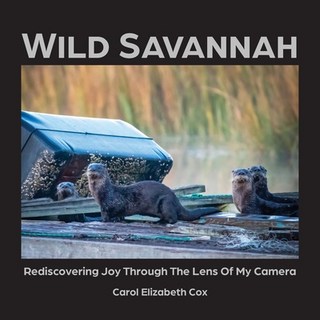 (英文圖書) Wild Savannah: Rediscovering Joy Through The Lens of My Camera 平裝版, Maudlin Pond Press, 英文