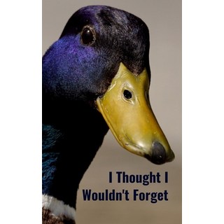 (英文圖書) I Thought I Wouldn't Forget: Discreet Compact Large Print Internet Username and Password Orga... 平裝版, Independently Published, 英文