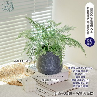 大好屋仿真銀葉蕨盆栽組，免澆水仿真植物，室內裝飾盆栽，簡約風格, 灰色, 1個