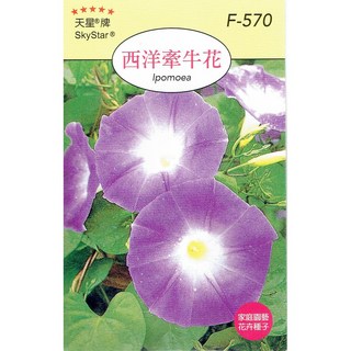 種子王國 天星牌 西洋牽牛花 種子 彩色包裝 家庭園藝 小包裝, 1個