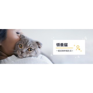 喵暇村CatVillage 兒童書籍：湊滿額折價，支援動保處「TAS浪愛滿屋」計畫，你出錢我出罐罐與親訓