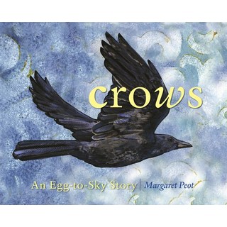 (英文圖書)Crows: An Egg-To-Sky Story 精裝版, Muddy Boots, 英文