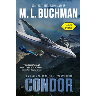 Condor: an NTSB-military technothriller (Large Print) 平裝版, Buchman Bookworks, Inc., 英文
