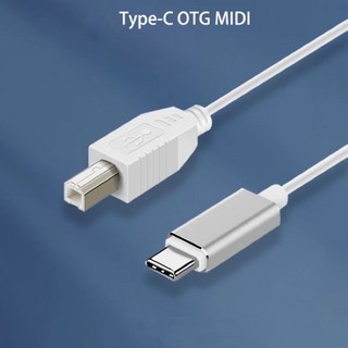 Lighting to Type B 電鋼琴連接線, 白, 1個, 100cm