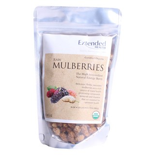 EXTENDED HEALTH 桑葚乾, 170克, 1個