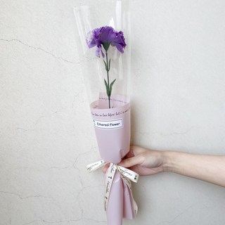 ONEDAY 康乃馨花束 母親節適用, 紫色