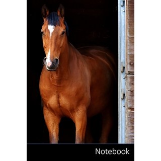 (英文圖書) Notebook: 馬、ブラウン、目、ク... 平裝版, Independently Published, 英文