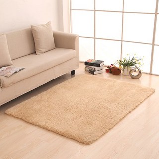 客廳毛地毯 40x60cm
