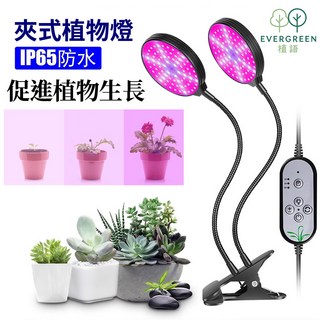植語 夾式雙頭植物燈 - 紅藍增豔生長光(循環定時款)，促進植物生長，夾式設計方便固定, 夾式雙頭-紅藍光