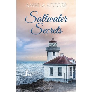 (英文圖書) Saltwater Secrets 平裝版, Anj Press, 英文