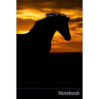 (英文圖書) Notebook: 馬、ポニー、動物、乗... 平裝版, Independently Published, 英文