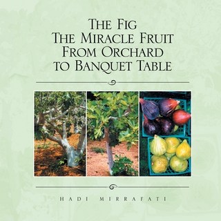(英文圖書) The Fig The Miracle Fruit From Orchard To Banquet Table 平裝版, Xlibris Us, 英文
