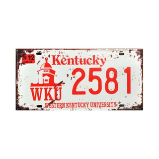 aryko 復古鐵皮裝飾3 歐洲風格1_14, 1個