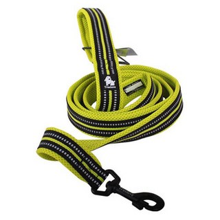 트루러브 대형견 리드줄 그린, 본상품, 1개