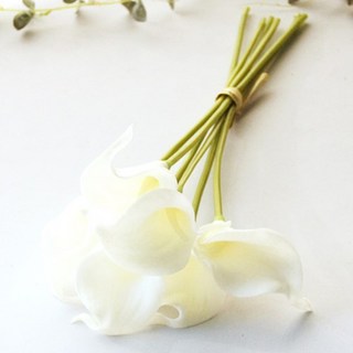 River Green 人造海芋枝, 純白色, 6個