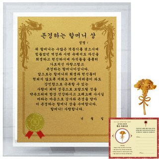 幸運標誌水晶感謝牌 8G 尊敬的奶奶獎 + 24K金康乃馨電磁波貼紙, 單一商品