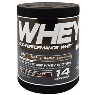 셀루코어 코-퍼포먼스 웨이 프로틴 단백질 보충제 몰튼 초콜릿 글루텐 프리, 470g, 1개