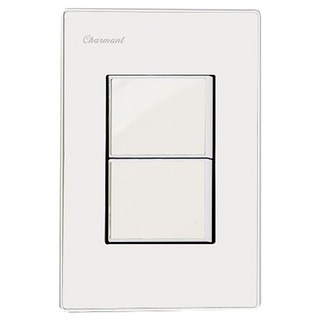 Homecoco 素色開關 2開 嵌入式 白色, 1個