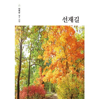 ThinkBook 善宰路, 李福男