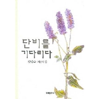 mirae 等待甘霖, 鄭亮淑 著