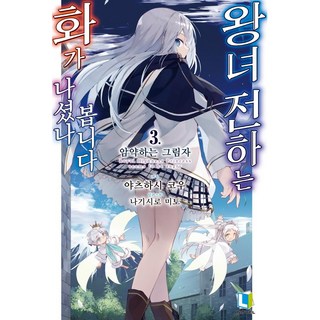 LNovel 王女殿下好像生氣了 3, D&C Media, 八橋こう