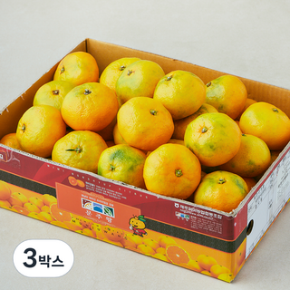 문주왕 당도선별 10brix 감귤, 3박스, 3kg(대과)