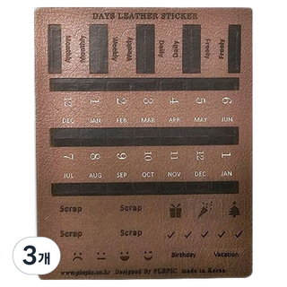 플레픽 데이즈 레더 인덱스 스티커 애쉬 브라운, 3개, 1개입