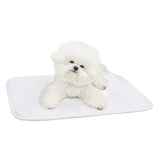초코펫하우스 강아지 듀라론 아이스 쿨매트, 1개