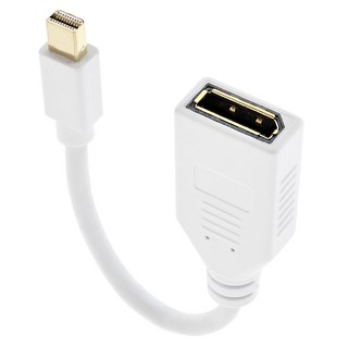 UniSync DisplayPort 母轉Mini DisplayPort 公轉接器 15cm 白色, 1條