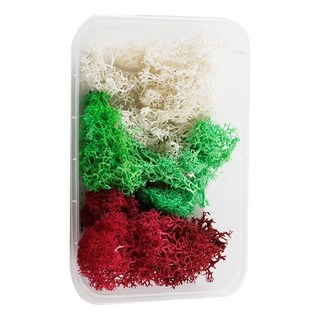 A-ONE 乾燥花 永生苔癬 A19 2個, 白色 + 綠色 + 紅色