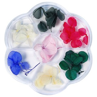 MEIBROWN 新款真花美甲壓花乾燥花組合 04, 混色, 1套