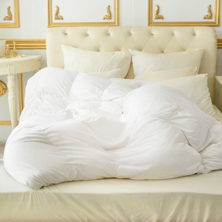 La Belle 水鳥羽毛絨吸濕排汗冬被, 單一顏色