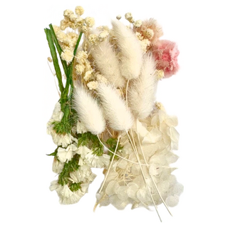 A-ONE 乾燥花 Set, 3個入, 浩白如雪