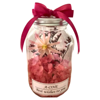 A-ONE 永生花許願花瓶 粉紅菊 AE-FB14 2入, N款 粉雛菊