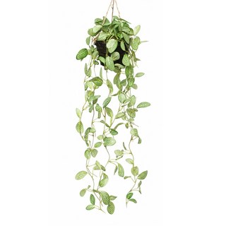 JOART 仿真吊籃藤蔓, 1個, 網紋草