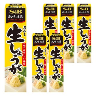 S&B 愛思必 生薑醬 40g 日式料理調味 天然風味 無添加色素 方便攜帶, 6個