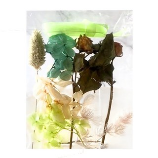 A-ONE 匯旺 浮游花DIY花材包 3包 H05 綠意流光 彩色 天然乾燥花材 浮游花藝 居家裝飾送禮首選