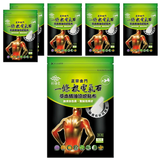 炫煬堂 一條根電氣石草本精油涼感貼布, 10片, 6包