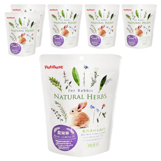 健康草本系列機能食品-紫背草, 6入