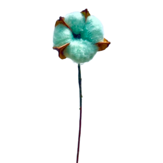 永生花材 棉花 天然棉花+鐵桿 花頭約4-5cm總長度約36cm 10支, 綠色