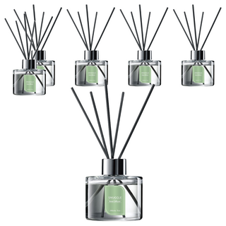 Snuggle 熊寶貝 香氛室內擴香 蘊含天然植萃精油, 療癒白茶, 100ml, 6件