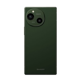 SHARP 夏普 AQUOS R9 5G 智慧手機 6.5吋, 森之綠, 256GB