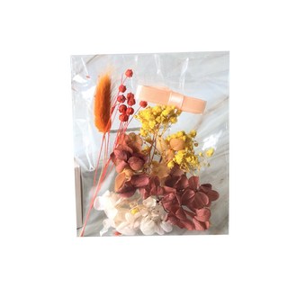 A-ONE 匯旺 浮游花DIY花材包 3包, H17 朝暘金燦 彩色 乾燥花材