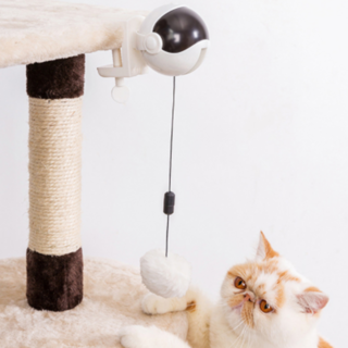 貓咪溜溜球可動玩具, 白色