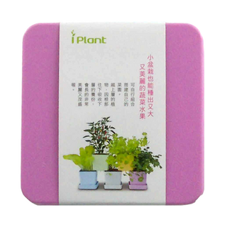 iPlant 積木農場盆栽, 小盆栽也能種出又大又美麗的蔬菜水果，可自行組合, 薰衣草, 12 x 12 x 13.5cm