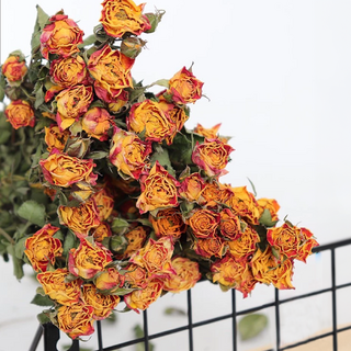 多頭玫瑰 30支, 狂歡泡泡