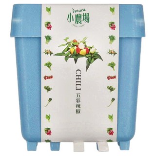iPlant 積木農場 盆栽, 五彩辣椒, 12 x 12 x 13.5cm