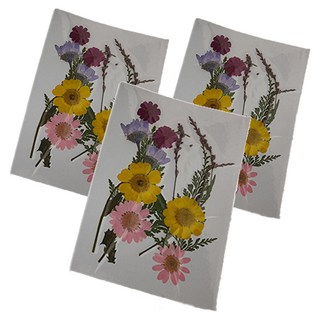 A-ONE 匯旺 真花壓花 小花包, 花花草草